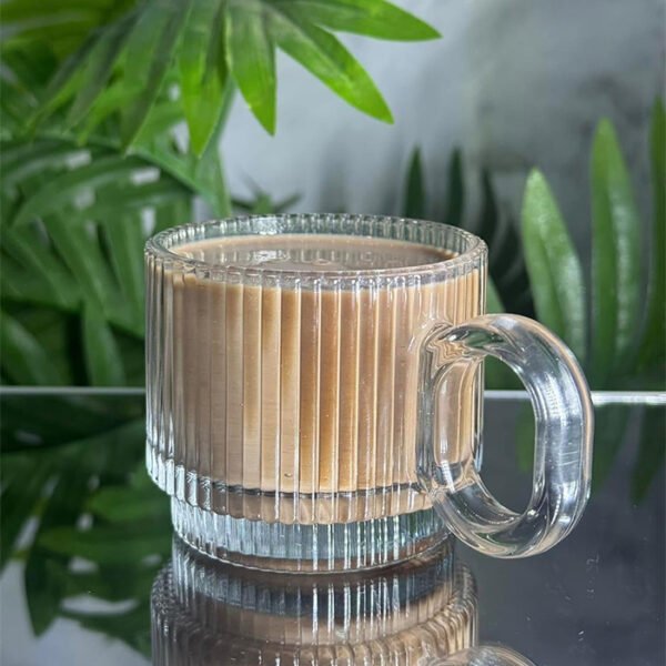 طقم مجات سيلفادور زجاج ( 6 قطع ) سعة 170 مليلتر، شفاف، مقاوم للخدش وسهل التنظيف